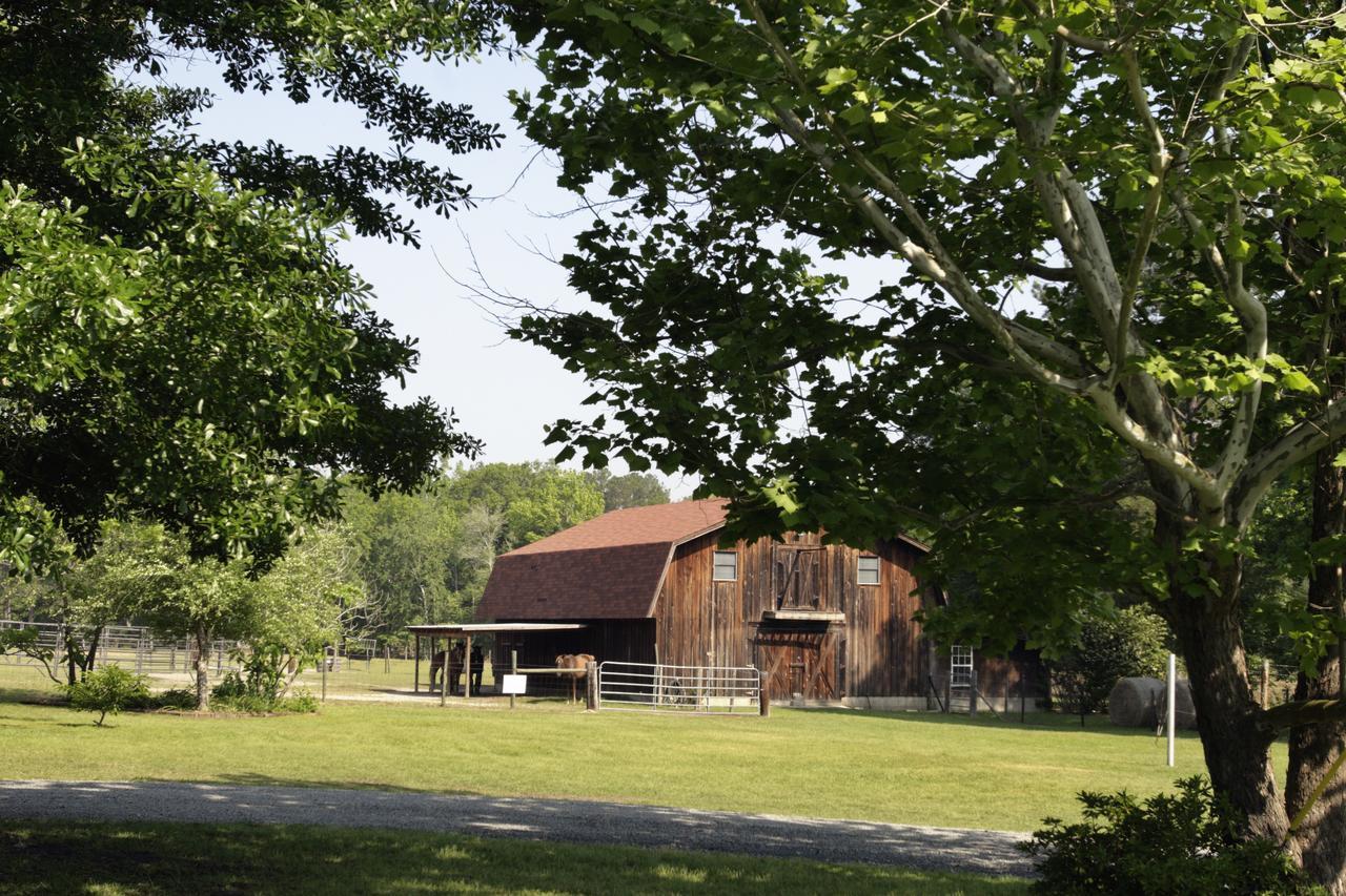 Bed and Breakfast Dublin Farm Экстерьер фото
