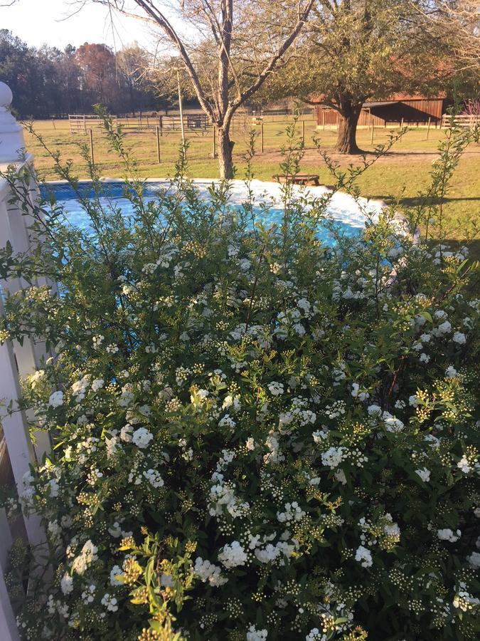 Bed and Breakfast Dublin Farm Экстерьер фото